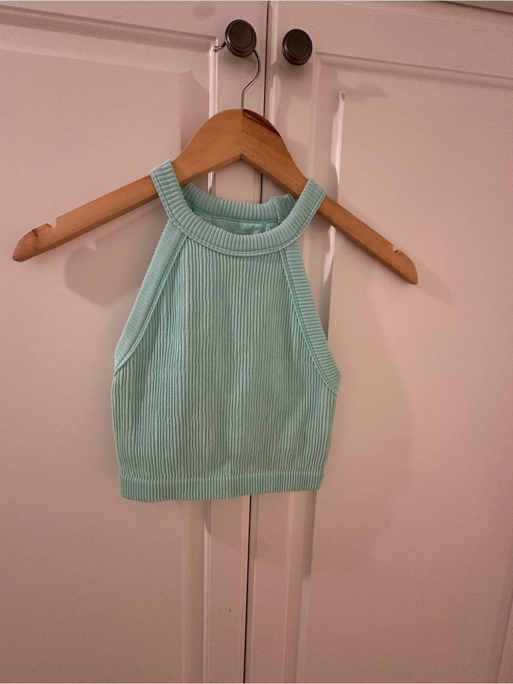 aerie Ribbed Halter Crop Top - Mint
